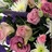Funeral basket pink crop