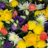 Img 0582 660 crop