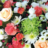 Img 2434 660 crop