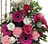Gates  heaven cerise crop
