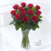 Elegant Red Rose Vase
