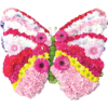 Butterfly Tribute In PInks and White