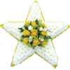 Star Tribute in Yellow
