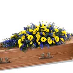 Coffin Spray in Blue and Yellow
