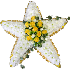 Star Tribute in Yellow with Ivy