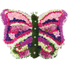 Butterfly Tribute in Pinks and Purple