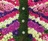 Butterfly tribute pinks purple crop