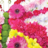 Child tribute01 400z