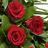 Simple rose sheaf red 400z